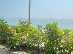 -佳丽海鲜大酒楼(环岛海景店)