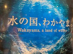 -纪州豚骨酱油拉面(锦延路店)