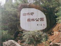 -白水寺森林公园