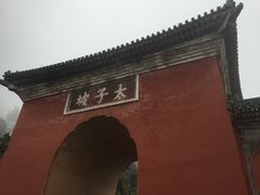 景点-武当山风景区-太子坡