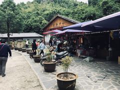 -夏霖九天银瀑风景区
