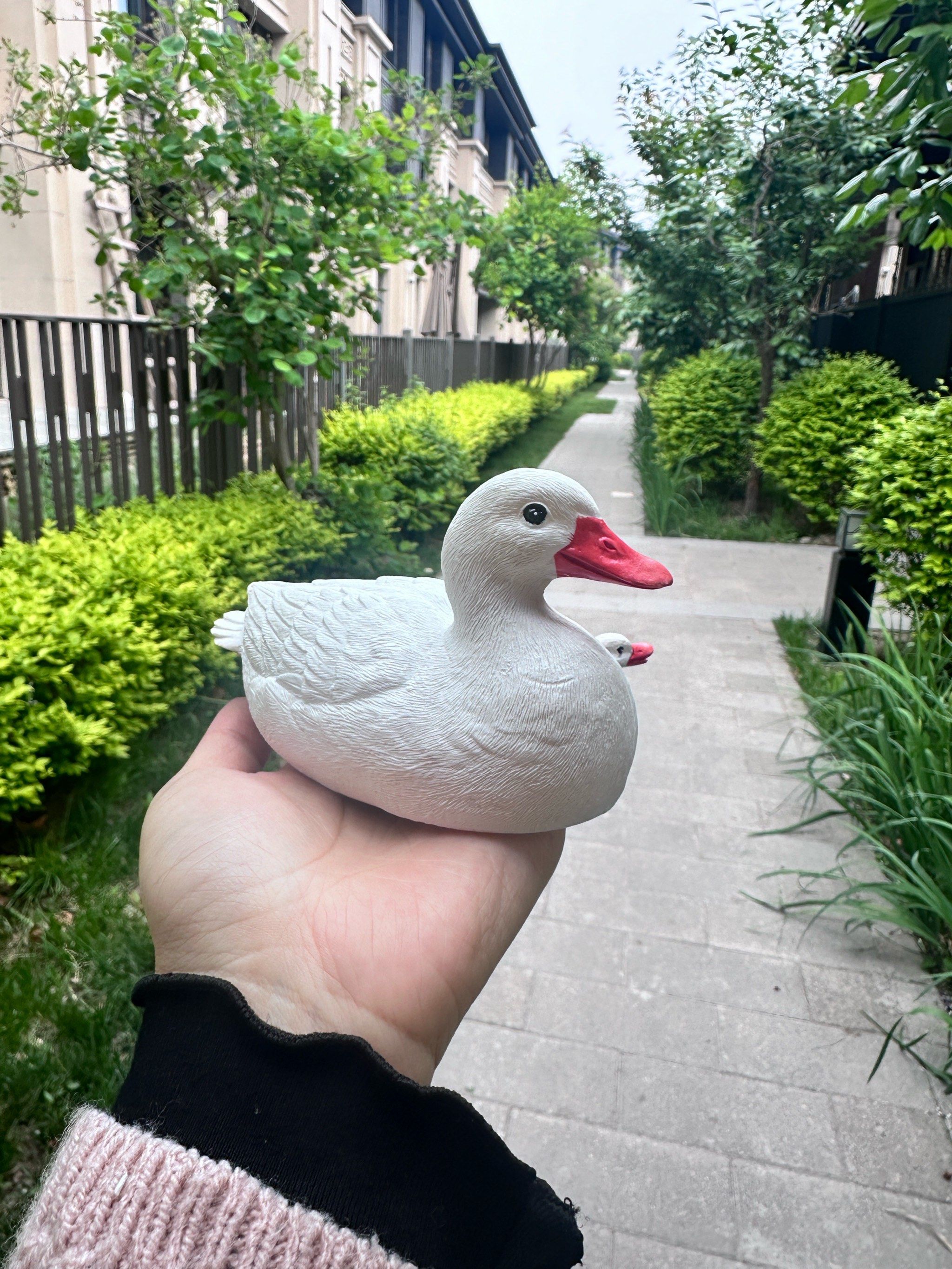 石膏鸭子!水池造景!可爱!