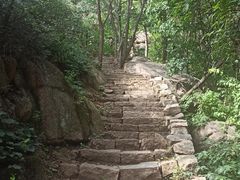 -大岭沟猕猴桃谷风景区