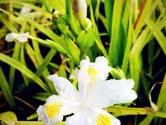 -雨花台烈士纪念馆