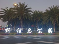 -野狸岛
