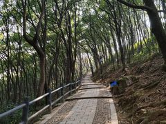 -苏州上方山国家森林公园