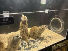 -太平洋海底世界