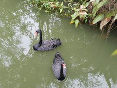 -长兴太湖图影湿地文化园