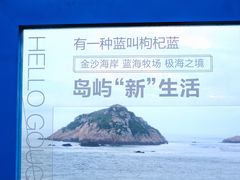 -枸杞岛