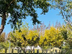 -前小桔亲子创意农场·草莓采摘·露营烧烤