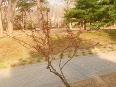 -玲珑塔公园