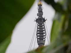 -北寺塔