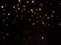 -STARRY CAFE & LOUNGE BAR(高新店)