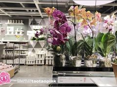 -宜家家居(哈尔滨商场店)