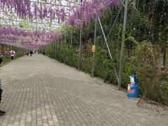 -西域欢乐城