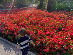 -长白岛森林公园