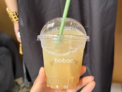 -BOBAC