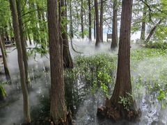 -东湖落雁景区