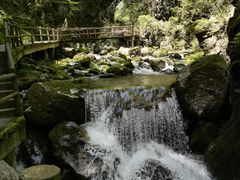 -牛背梁国家森林公园