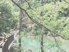 -楠溪江石桅岩