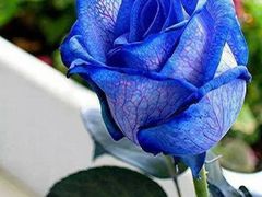 -乐享养生(东湖店)