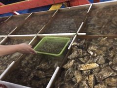 -罗源湾8号渔排