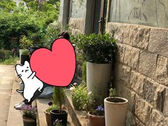 景点-大塘金香草谷