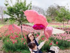 -天适樱花悠乐园