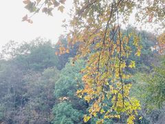 -青龙山国家森林公园