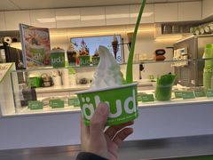 -Salud撒露欧洲冻酸奶(蓝色港湾店)