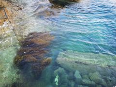 -柚柑湾度假村餐厅