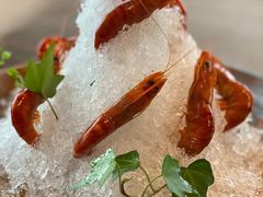 陈年花雕醉虎虾-三利音·东方司宴(外滩店)