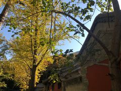 -阳台山自然风景区