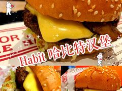 -The Habit Burger Grill 哈比特汉堡(爱琴海店)