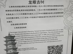 -仁寿寺