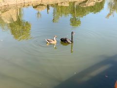 -白马涧龙池景区