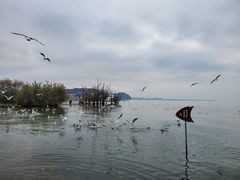 -捞渔河湿地公园