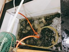 嘎鱼-山城家常菜铁锅炖鱼