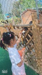 -萌宠亲子动物乐园(槐房万达店)