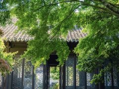 -上海醉白池公园