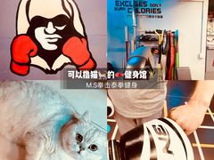 -M.S拳击泰拳馆(大学路店)