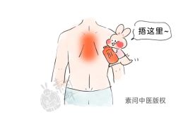 -雅曼妮spa美容养生