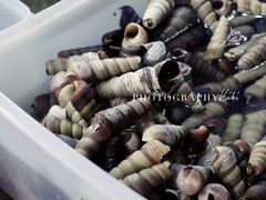 -阿生潮味鲜炒粉(梅林新村店)