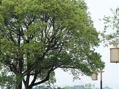 -东钱湖旅游度假区