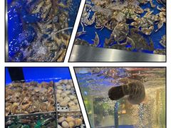-SEA西雅图海鲜自助餐厅(正义店)