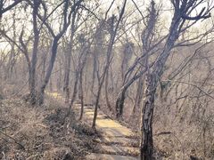 -南京市江宁方山