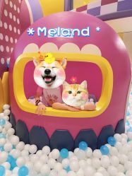 -MELAND CLUB亲子乐园·派对·餐厅(北京芳圆里ID MALL店)