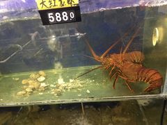 -明记海鲜大排档(巽寮湾店)