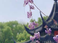-西园戒幢律寺