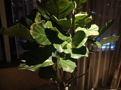 -锦龙国际酒店(天津奥体中心华苑地铁站店)